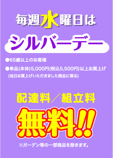 シルバーDay
